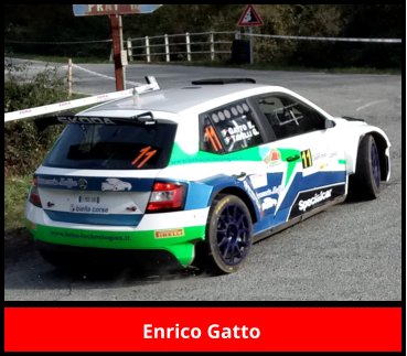 Enrico Gatto